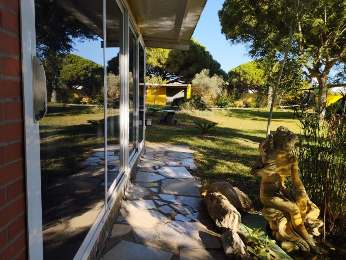 Jacaranda Apartman Cádiz Kültér fotó